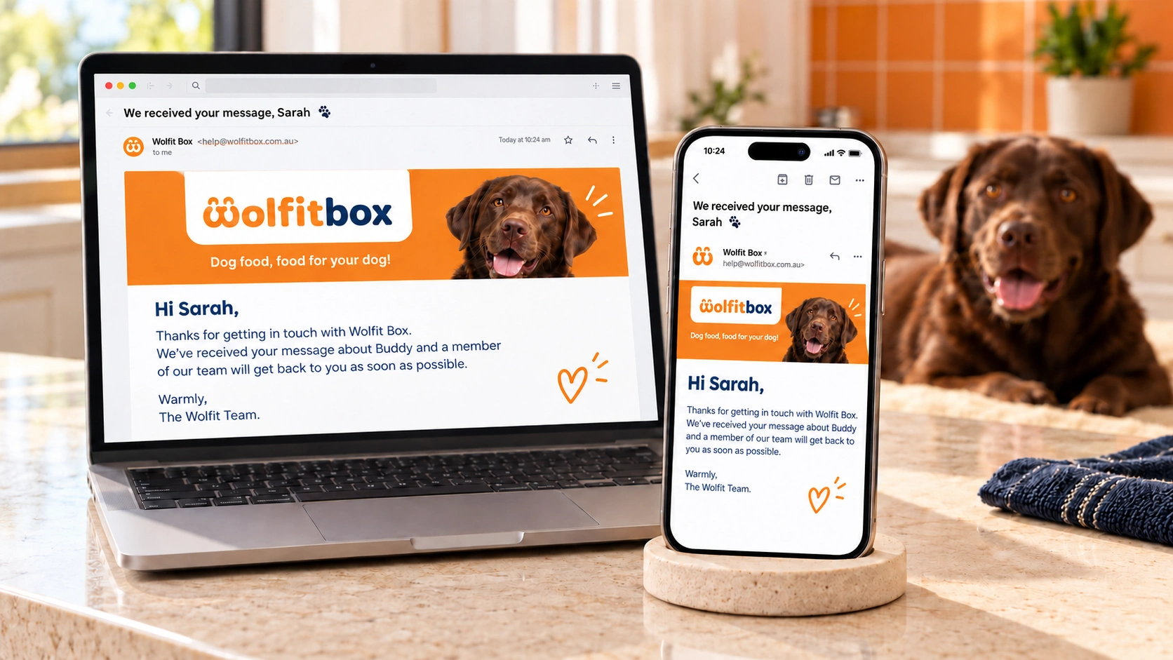 Automated Wolfit Box confirmation email on laptop and mobile