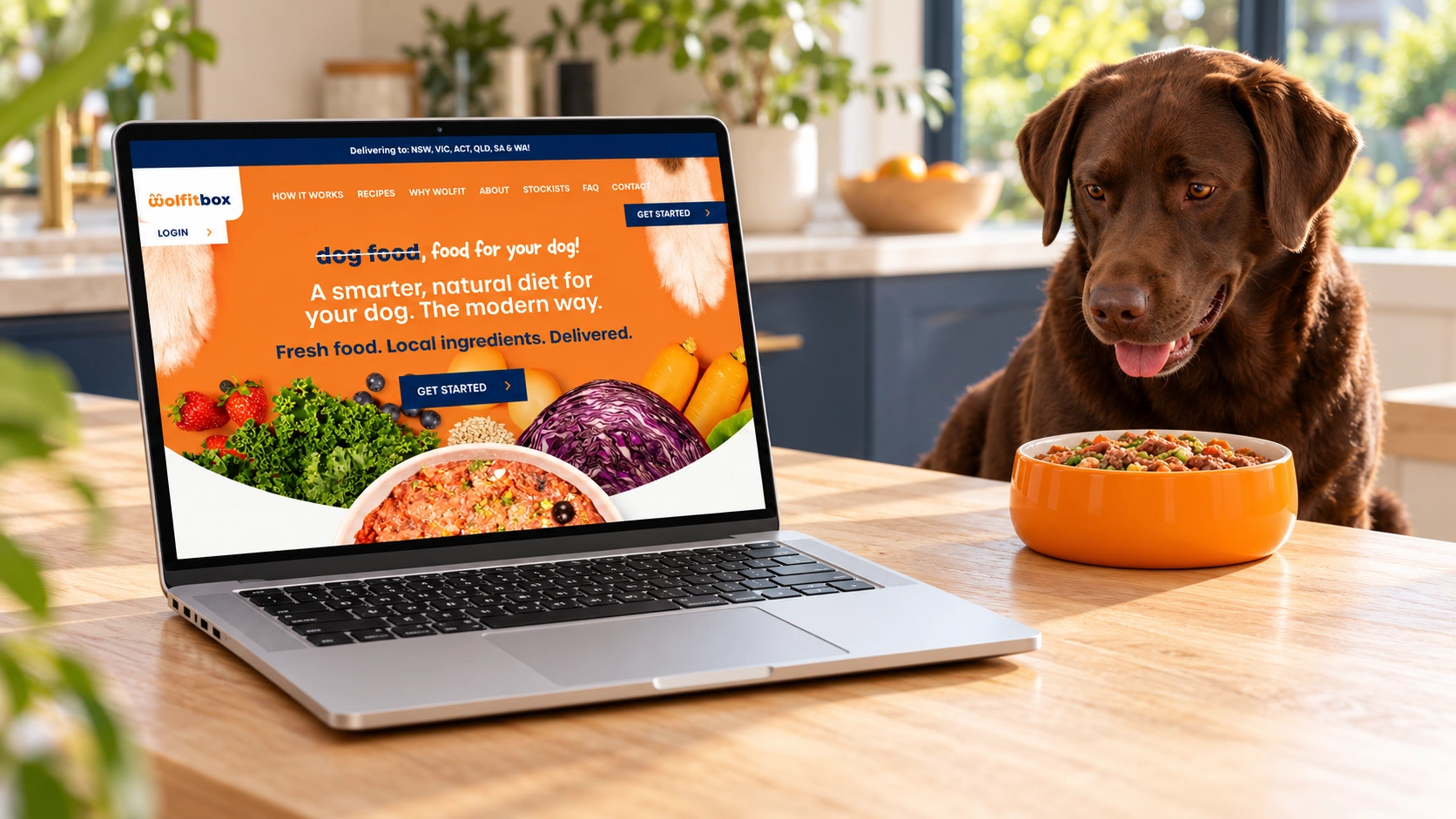 Wolfit Box website on a laptop next to a dog with a bowl of fresh food